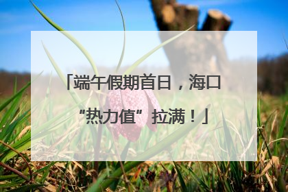 端午假期首日，海口“热力值”拉满！