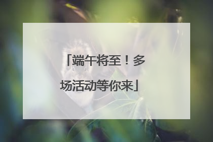端午将至！多场活动等你来