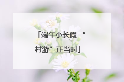 端午小长假 “村游”正当时
