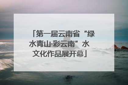 第一届云南省“绿水青山·彩云南”水文化作品展开幕