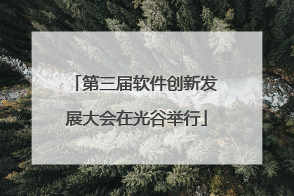 第三届软件创新发展大会在光谷举行