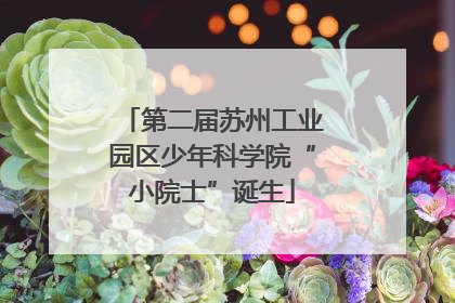 第二届苏州工业园区少年科学院“小院士”诞生
