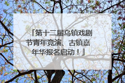 第十二届乌镇戏剧节青年竞演、古镇嘉年华报名启动！