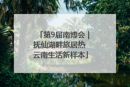 第9届南博会｜抚仙湖畔旅居热 云南生活新样本