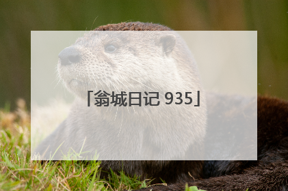 翁城日记 935