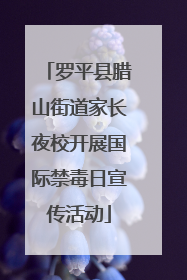 罗平县腊山街道家长夜校开展国际禁毒日宣传活动