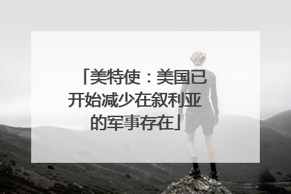 美特使：美国已开始减少在叙利亚的军事存在