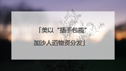 美以“插手包揽”加沙人道物资分发