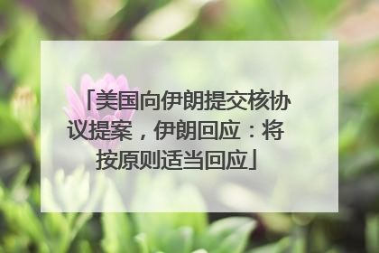 美国向伊朗提交核协议提案，伊朗回应：将按原则适当回应