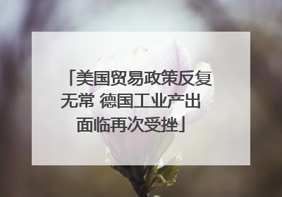 美国贸易政策反复无常 德国工业产出面临再次受挫