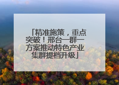 精准施策，重点突破！邢台一群一方案推动特色产业集群提档升级