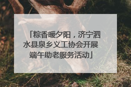 粽香暖夕阳，济宁泗水县泉乡义工协会开展端午助老服务活动