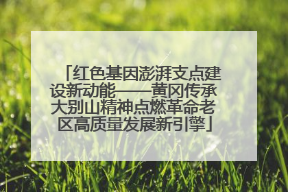 红色基因澎湃支点建设新动能——黄冈传承大别山精神点燃革命老区高质量发展新引擎