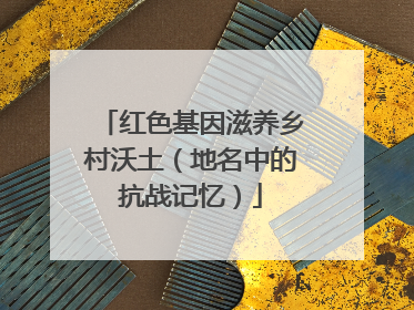 红色基因滋养乡村沃土（地名中的抗战记忆）