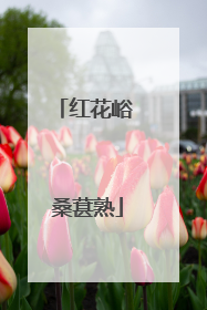红花峪 桑葚熟