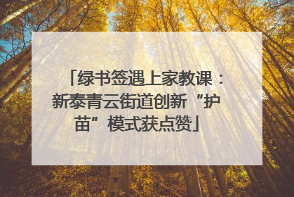 绿书签遇上家教课：新泰青云街道创新“护苗”模式获点赞