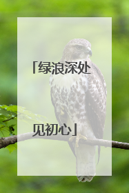 绿浪深处见初心