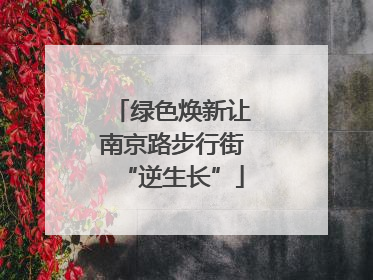 绿色焕新让南京路步行街“逆生长”