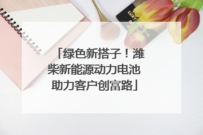 绿色新搭子！潍柴新能源动力电池助力客户创富路