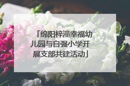 绵阳梓潼幸福幼儿园与自强小学开展支部共建活动