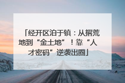 经开区泊于镇：从撂荒地到“金土地”！靠“人才密码”逆袭出圈