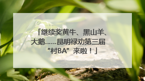 继续奖黄牛、黑山羊、大鹅……昆明禄劝第三届“村BA”来啦！