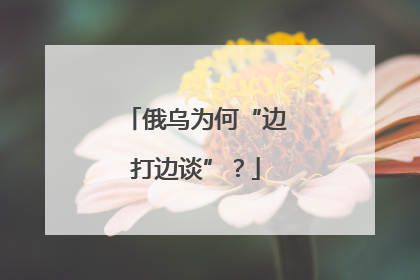 俄乌为何“边打边谈”？