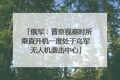 俄军：普京视察时所乘直升机一度处于乌军无人机袭击中心
