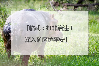 临武：打非治违！深入矿区护平安