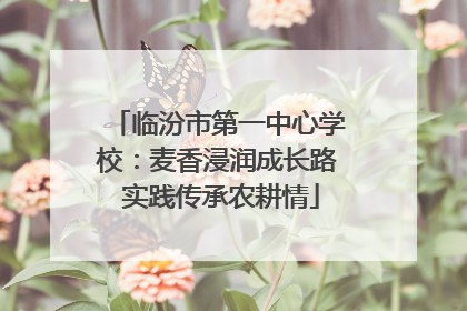 临汾市第一中心学校：麦香浸润成长路 实践传承农耕情