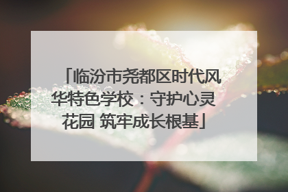 临汾市尧都区时代风华特色学校：守护心灵花园 筑牢成长根基