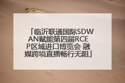 临沂联通国际SDWAN赋能第四届RCEP区域进口博览会 融媒跨境直播畅行无阻