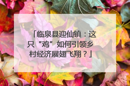 临泉县迎仙镇：这只“鸡”如何引领乡村经济展翅飞翔？