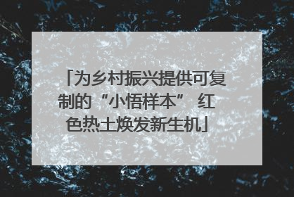 为乡村振兴提供可复制的“小悟样本” 红色热土焕发新生机