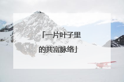 一片叶子里的共富脉络