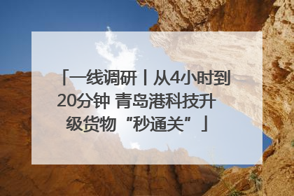 一线调研丨从4小时到20分钟 青岛港科技升级货物“秒通关”