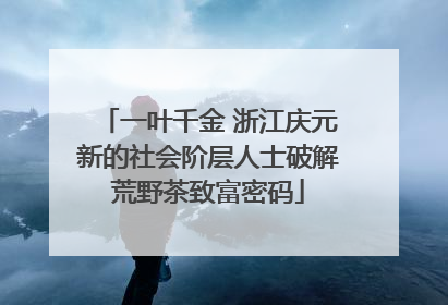 一叶千金 浙江庆元新的社会阶层人士破解荒野茶致富密码