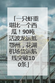 一只虾重堪比一个西瓜！90吨活波龙运抵鄂州，花湖机场货运航线突破100条