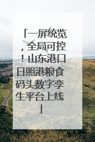 一屏统览，全局可控！山东港口日照港粮食码头数字孪生平台上线
