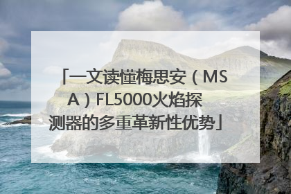 一文读懂梅思安（MSA）FL5000火焰探测器的多重革新性优势