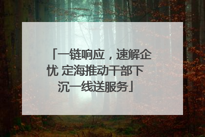一链响应，速解企忧 定海推动干部下沉一线送服务