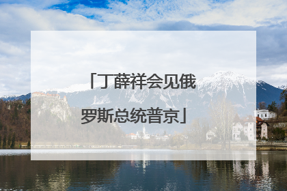 丁薛祥会见俄罗斯总统普京