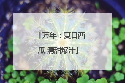 万年：夏日西瓜 清甜爆汁