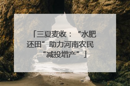 三夏麦收：“水肥还田”助力河南农民“减投增产”