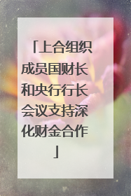 上合组织成员国财长和央行行长会议支持深化财金合作