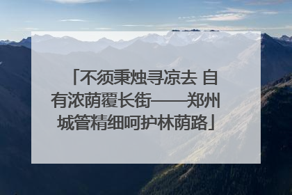 不须秉烛寻凉去 自有浓荫覆长街——郑州城管精细呵护林荫路