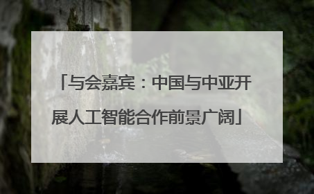 与会嘉宾：中国与中亚开展人工智能合作前景广阔