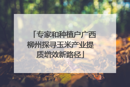专家和种植户广西柳州探寻玉米产业提质增效新路径