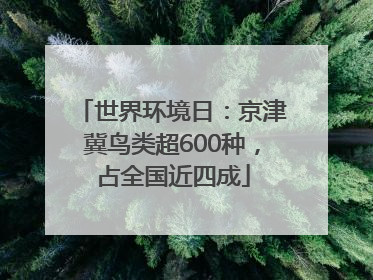 世界环境日：京津冀鸟类超600种，占全国近四成
