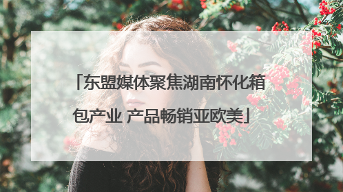 东盟媒体聚焦湖南怀化箱包产业 产品畅销亚欧美